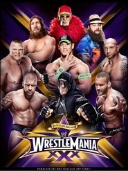 WWE Wrestlemania 30