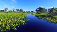 Freshwater
