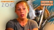 Episode 22