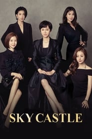 SKY Castle (2018) Season 1 Hindi Dubbed Download & Watch Online Web-DL 480P & 720P | [Complete]