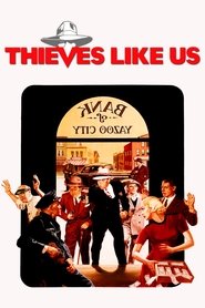 Poster Thieves Like Us 1974