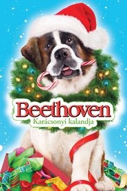 Beethoven karácsonyi kalandja (2011)