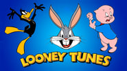 Looney Tunes Collection: Best Of Daffy And Porky Volume 1 en streaming