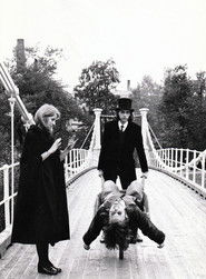 Mannen med fuglehjernen