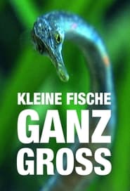 Kleine Fische ganz groß