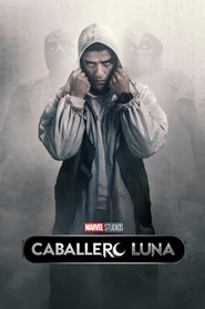 Moon Knight Miniseries 25