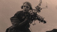 La rosa sulle rotaie