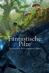 Poster Fantastische Pilze