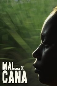 Poster Sugar Cane Malice 2021
