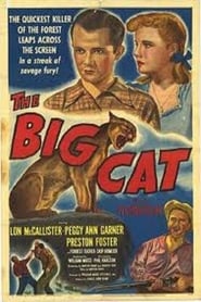 The Big Cat poster
