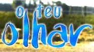 Poster O Teu Olhar - Season 1 Episode 113 : Episode 113 2004