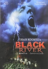 Black River (2001) poster