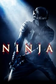 Ninja (2009) Dual Audio [Hindi & ENG] Movie Download & Watch Online Blu-Ray 480p, 720p &b 1080p