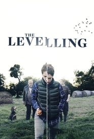 Poster The Levelling