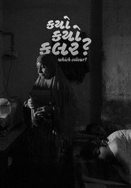 Which Colour? (2023)