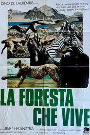 La foresta che vive