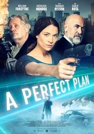 A Perfect Plan постер