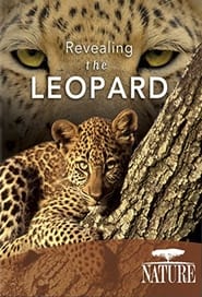 Revealing the Leopard