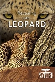 Poster Revealing the Leopard 2010