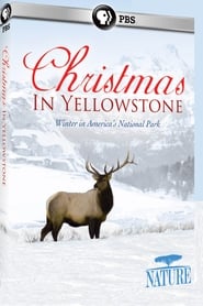 Poster Christmas in Yellowstone