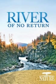 River of No Return (2012)