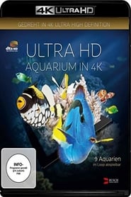 Aquarium streaming