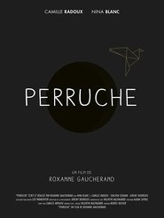 Poster Perruche 2013