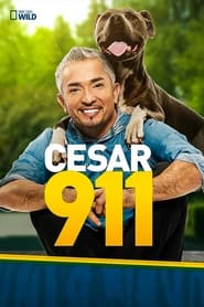 Cesar 911 постер