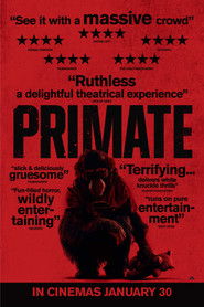 Primate