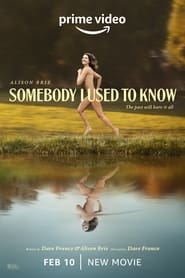 Somebody I Used to Know (2023) Hindi