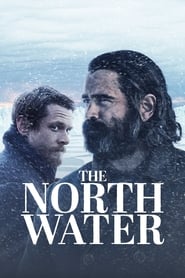 Північні води постер