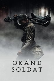 Okänd soldat 2017