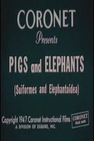 Pigs and Elephants (Suiformes and Elephantoidea) (1947)