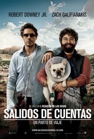 Salidos de cuentas (2010)