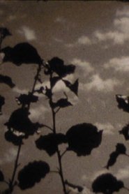 Poster The Season's Change 1960