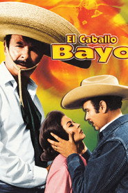 El caballo Bayo постер