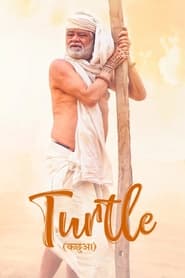 Poster Turtle