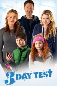 Voir L'expérience de Noël en streaming vf gratuit sur streamizseries.net site special Films streaming