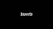 Band Interview - Insects