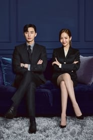 What's Wrong with Secretary Kim poster