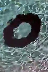 Poster Donut 2006