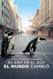 El año en el que el mundo cambió (2021)