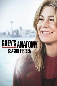 Grey’s Anatomy Season 15 Episode 25