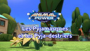 Animal Power : Les Pyjamasques et les Pyja-destriers