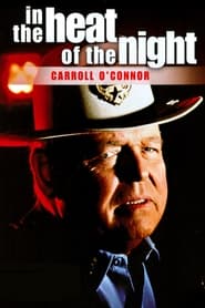 In the Heat of the Night poster