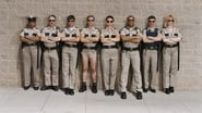 Reno 911, n'appelez pas ! en streaming
