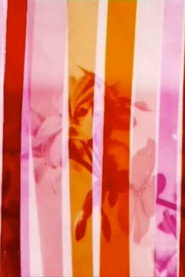 Lost poster
