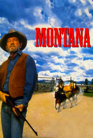 Poster Montana 1990