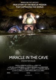 Miracle in the Cave