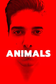 Animals постер